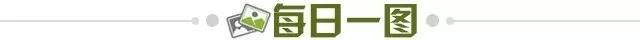 7e132b94-0e5a-4b00-b128-f86b08195a6b.jpg@!img01